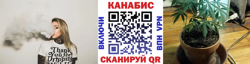 Магазины продажи наркотиков Злынка АМФ  МЕФ  Псилоцибиновые грибы  Alpha-PVP  Марихуана 