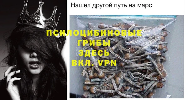мдпв Козловка