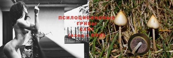 круглые Алексин