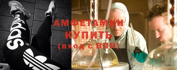 стаф Абаза