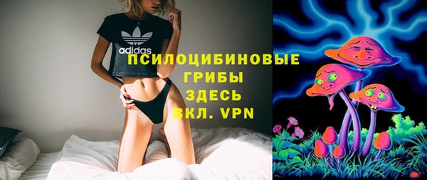 спайс Алексеевка